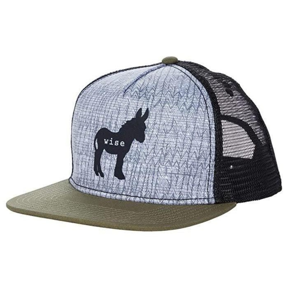 prAna EUC Wise Ass Mesh Flat Brim Journeyman Trucker Snapback Hat Summer Donkey